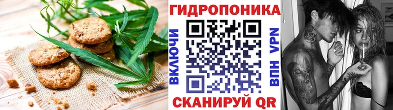 продажа наркотиков  Ликино-Дулёво  ссылка на мегу сайт  Canna-Cookies конопля 