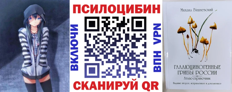 Псилоцибиновые грибы Psilocybine cubensis  Ликино-Дулёво 